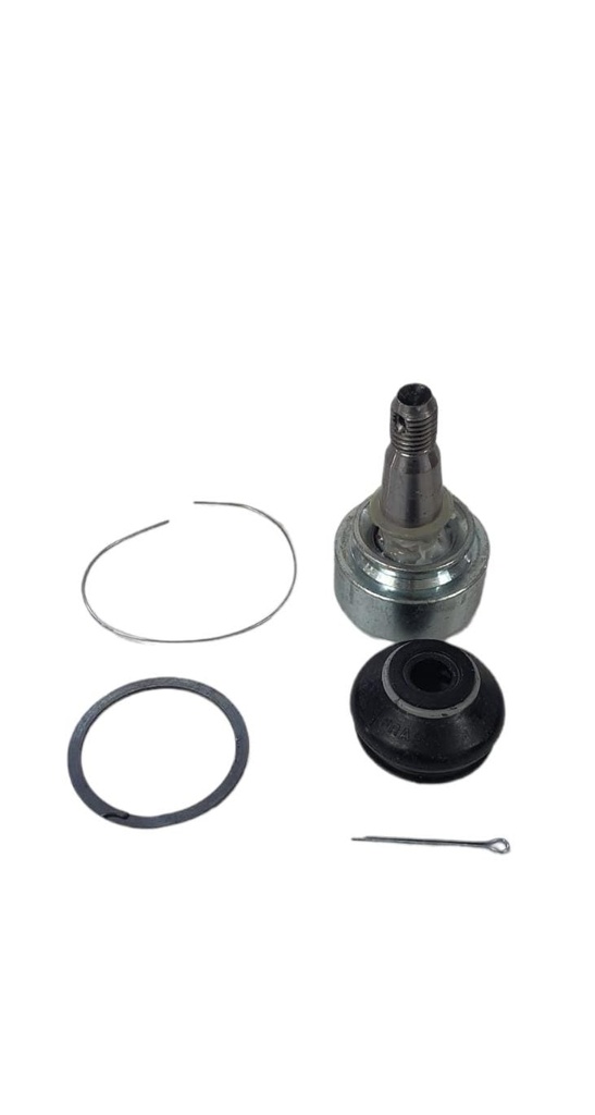 ROTULA FRAP WALSH LTR SUPERIOR